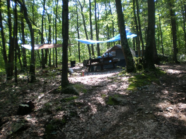 Campsite 85