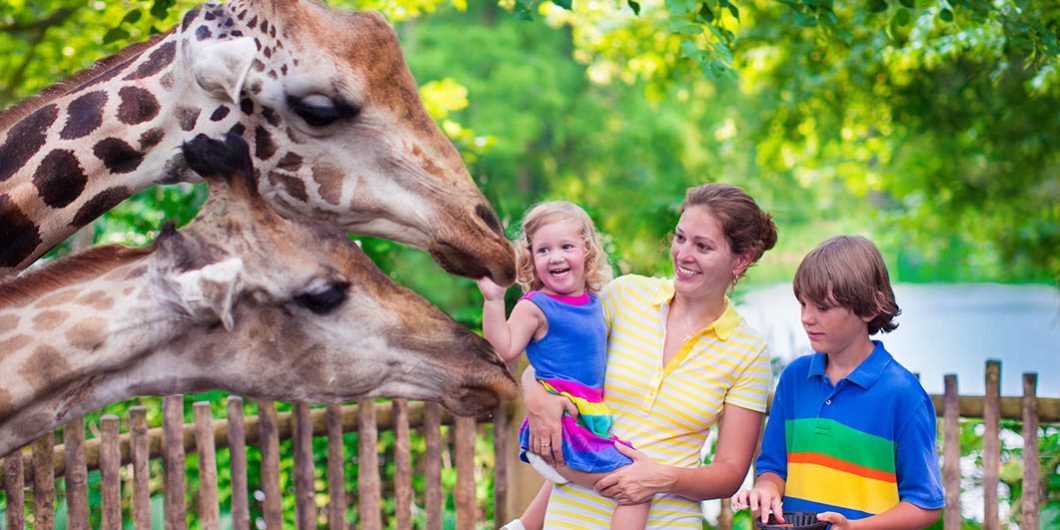 Best Day Trips Within an Hour of Sutton Falls Campground Family enjoying a zoo visit during a summer day trip near Sutton Massachusetts
