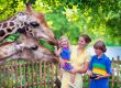 Family enjoying a zoo visit during a summer day trip near Sutton Massachusetts