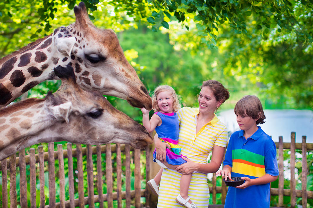 Family enjoying a zoo visit during a summer day trip near Sutton Massachusetts